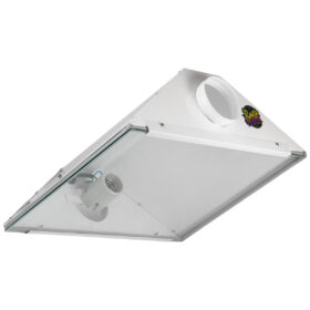 COOLBOX M - 40X50X17CM SANTA PLANTA