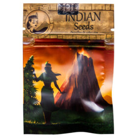 SEMILLA INDIAN SEEDS EGYPTO THC X 3 (3 UND)
