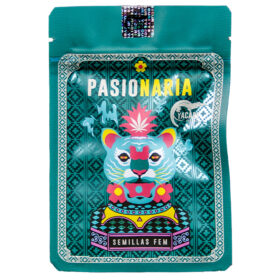 SEMILLAS PASIONARIA X 4