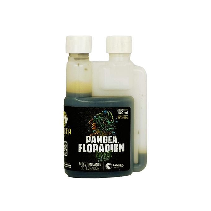 PANGEA FLORACION FISHER JUICE (100 ML)