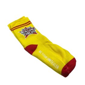 LION ROLLING CIRCUS MEDIAS