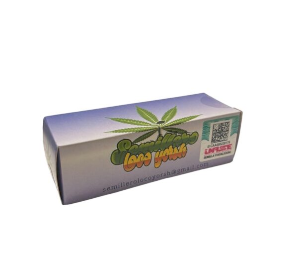SEMILLA BATEKU LOCO YORSH X 5 + 1 DE REGALO
