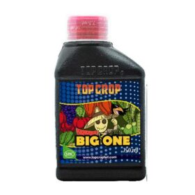 TOP CROP BIG ONE BIOESTIMULANTE (ESTIMULANTE) (PACK X 24 U -10% DESC) (250 ML)