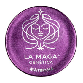 Semillas La Maga Matrona X 5 Unidades