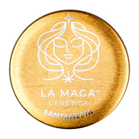 Semillas La Maga Santanesia X 5 Unidades