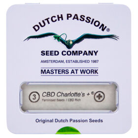 Semillas CBD Charlotte`s + Dutch Passion
