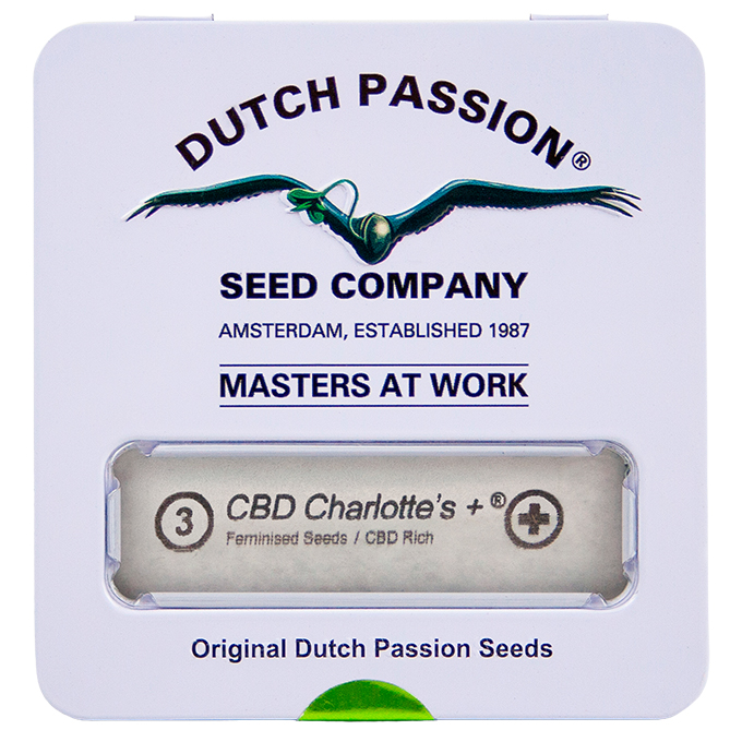 Semillas CBD Charlotte`s + Dutch Passion
