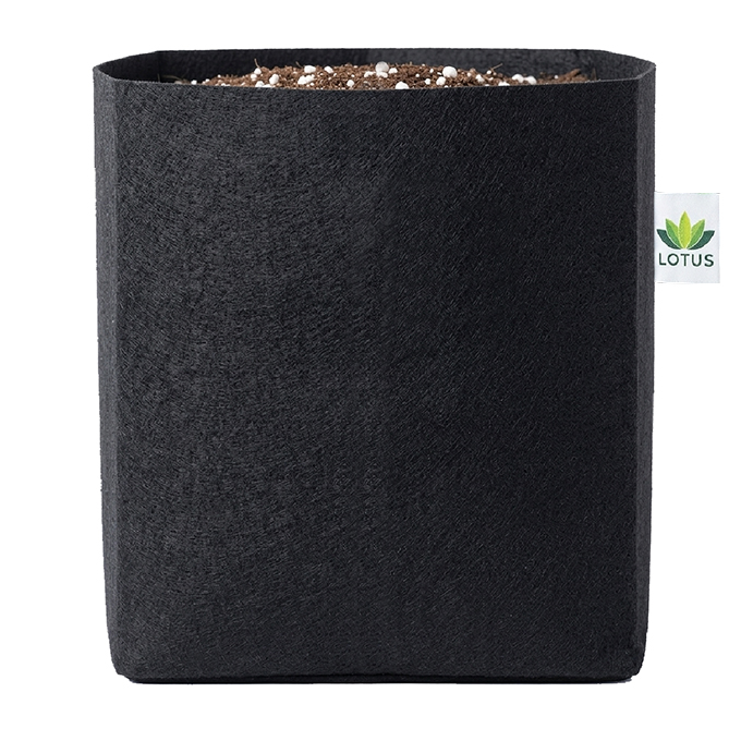 Maceta Geotextil Rectangular Lotus (30 LT)